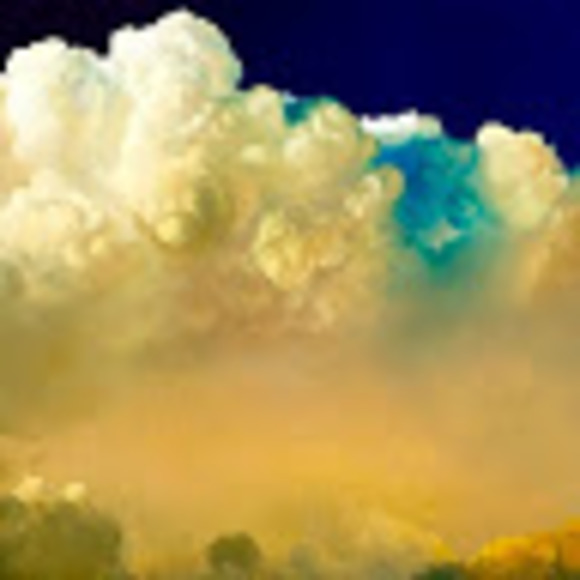 Meet your Posher, Vera - Picture 1 of 1